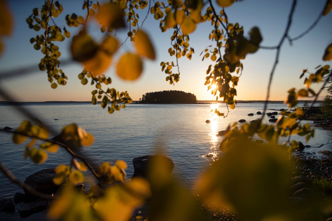 Kotka_F94I9441-1