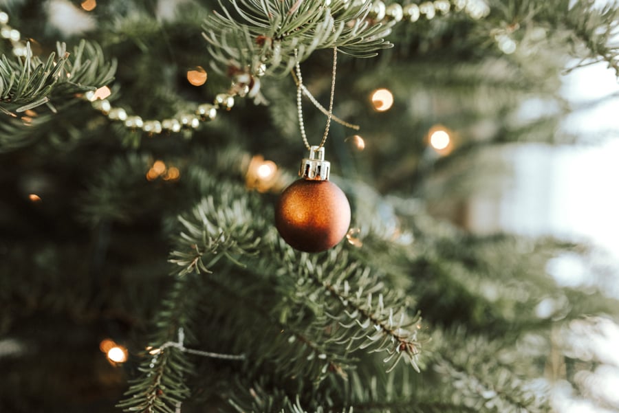 sandra-seitamaa-V_y_G1SN_tw-unsplash-2